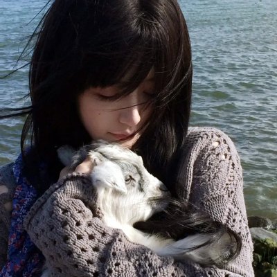 记忆花园海报